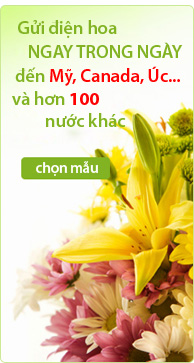 Gửi hoa về Việt Nam