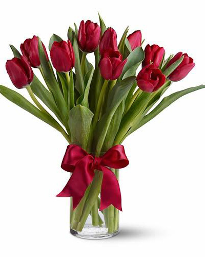 Ty+So+Truc+Tuyen Ty So Truc Tuyen http://diendan.congdongcviet.com/showthread.php?t